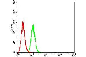 Flow cytometric analysis of Hela cells using BCL2L2 mouse mAb (green) and negative control (red). (BCL2L2 Antikörper  (AA 6-118))