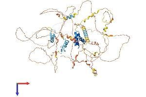 BCL11A Protein (AA 1-773) (His tag)