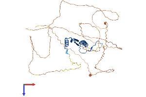 SRF Protein (AA 1-508) (His tag)
