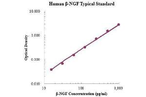 ELISA image for Nerve Growth Factor beta (NGFB) ELISA Kit (ABIN3198504)