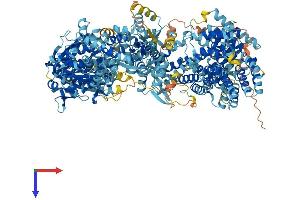 ADCY10 Protein (AA 1-1614) (His tag)