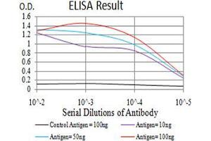 ELISA image for anti-Synapsin I (SYN1) (AA 362-511) antibody (ABIN5542390)
