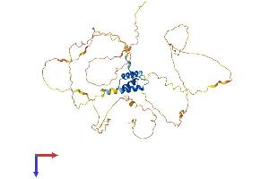 IRX5 Protein (AA 1-484) (His tag)