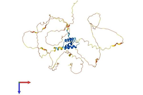 IRX5 Protein (AA 1-484) (His tag)
