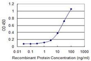 Detection limit for recombinant GST tagged IP6K2 is 0. (IP6K2 Antikörper  (AA 1-70))