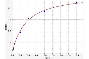 Typical standard curve (beta Actin ELISA Kit)