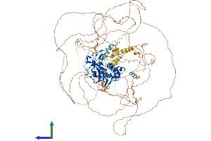 AlphaFold protein structure predicition of Human Recombinant ARID5B Protein, UniprotID Q14865