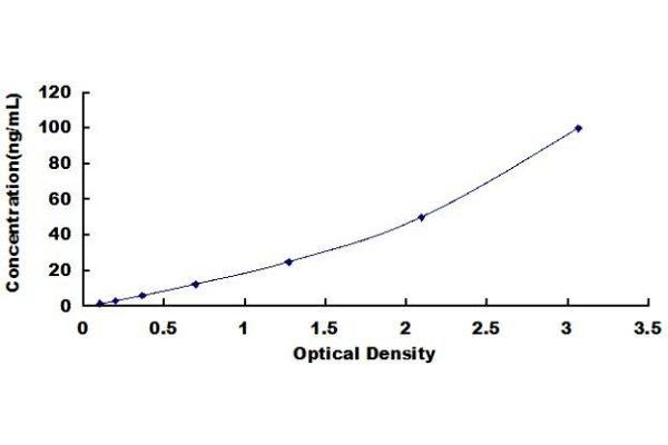 Hephaestin ELISA Kit