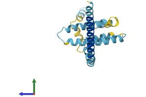 Protein Structure (PS) image for Receptor Accessory Protein 5 (REEP5) (AA 1-185) protein (His tag) (ABIN7557631)