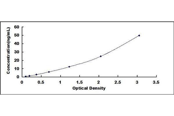 Dermcidin ELISA Kit