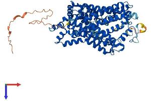 SLC6A2 Protein (AA 1-617) (His tag)