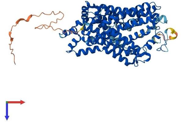 SLC6A2 Protein (AA 1-617) (His tag)