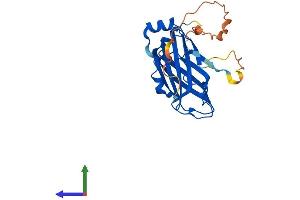 Protein Structure (PS) image for Unc-119 Homolog (UNC119) (AA 1-240) protein (His tag) (ABIN7555883)