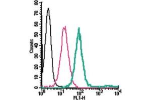 Cell surface detection of NK1R in live intact human  monocytic leukemia cells:___ Cells.
