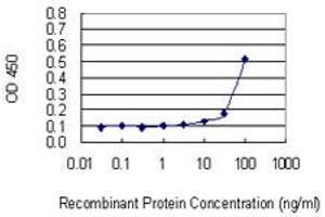 Detection limit for recombinant GST tagged ZNF253 is 3 ng/ml as a capture antibody. (ZNF253 Antikörper  (AA 91-180))