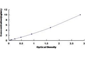 Typical standard curve (OAZ1 ELISA Kit)