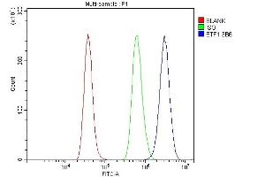 Flow Cytometry analysis of RH35 cells using anti- eRF1/ETF1 antibody (ABIN7602625). (ETF1 Antikörper  (AA 9-342))