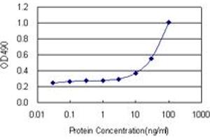C4BPB (Human) Matched Antibody Pair