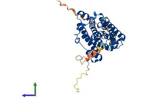 Protein Structure (PS) image for Ribonucleotide Reductase M2 B (TP53 Inducible) (RRM2B) (AA 1-351) protein (His tag) (ABIN7558060)