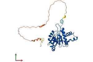 Protein Structure (PS) image for Cms Small Ribosomal Subunit 1 (CMSS1) (AA 1-276) protein (His tag) (ABIN7560801)