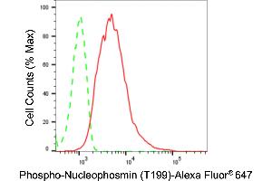 Flow cytometric analysis of Phospho-Nucleophosmin (T199) expression in HepG2 cells using Phospho-Nucleophosmin (T199) antibody (ABIN7799673), 1:2,000). (Rekombinanter NPM1 Antikörper  (pThr199))