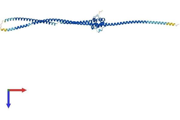 NUF2 Protein (AA 1-464) (His tag)