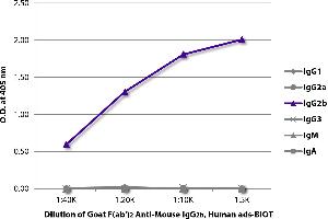 ELISA plate was coated with purified mouse IgG1, IgG2a, IgG2b, IgG3, IgM, and IgA. (Ziege anti-Maus IgG2b Antikörper (Biotin) - Preadsorbed)