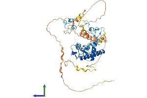 Protein Structure (PS) image for Makorin Ring Finger Protein 1 (MKRN1) (AA 1-482) protein (His tag) (ABIN7549417)