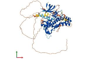 AlphaFold protein structure predicition of Human Recombinant HIPK4 Protein, UniprotID Q8NE63 (HIPK4 Protein (AA 1-616) (His tag))