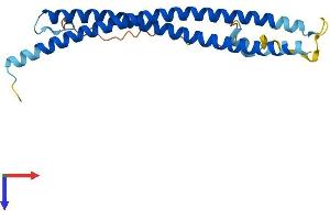 SNAP23 Protein (AA 1-210) (His tag)