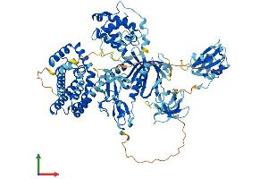 Protein Structure (PS) image for Vav 3 Oncogene (VAV3) (AA 1-847) protein (His tag) (ABIN7555959)