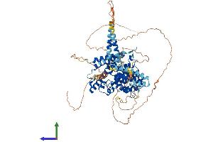 AlphaFold protein structure predicition of Human Recombinant PDE4C Protein, UniprotID Q08493