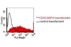 Flow Cytometry (FACS) image for anti-Carcinoembryonic Antigen-Related Cell Adhesion Molecule 19 (CEACAM19) antibody (ABIN179727)