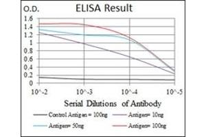 ELISA image for anti-Low Density Lipoprotein Receptor-Related Protein 5 (LRP5) antibody (ABIN1108063) (LRP5 Antikörper)