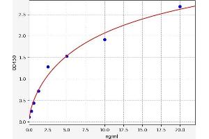 Elastase, Neutrophil Expressed (ELANE) ELISA Kit