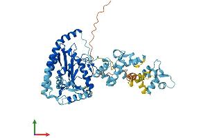 AlphaFold protein structure predicition of Mouse Recombinant Lpcat2b Protein, UniprotID Q9D5U0 (LPCAT2B Protein (AA 1-516) (His tag))