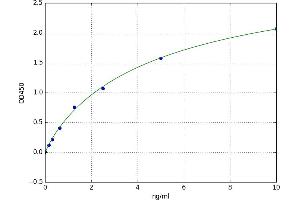 Doublecortin (DCX) ELISA Kit