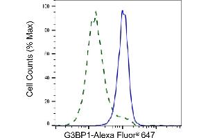 Validation of G3BP1 knockdown using flow cytometry. (Rekombinanter G3BP1 Antikörper)
