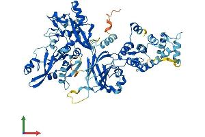 Protein Structure (PS) image for Calpain 11 (CAPN11) (AA 1-714) protein (His tag) (ABIN7557938)