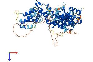 GFR Protein (AA 1-580) (His tag)