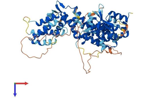 GFR Protein (AA 1-580) (His tag)