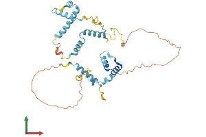 AlphaFold protein structure predicition of Human Recombinant SNAPC2 Protein, UniprotID Q13487