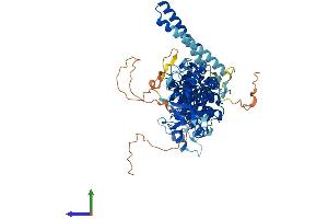 AlphaFold protein structure predicition of Mouse Recombinant Rhpn2 Protein, UniprotID Q8BWR8