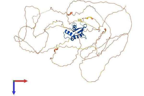 Elf4 Protein (AA 1-663) (His tag)