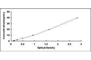 Typical standard curve (ENO2/NSE ELISA Kit)