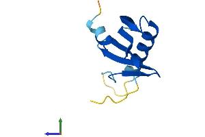 Protein Structure (PS) image for Late Endosomal/lysosomal Adaptor, MAPK and mTOR Activator 4 (LAMTOR4) (AA 1-99) protein (His tag) (ABIN7559295)