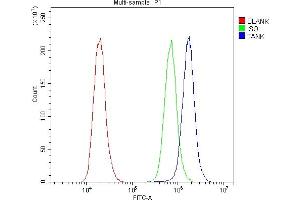 Flow Cytometry analysis of A431 cells using anti-TANK antibody (ABIN6719508). (TANK Antikörper)