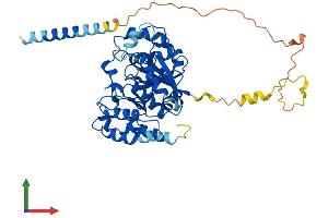 Protein Structure (PS) image for Glucoside Xylosyltransferase 1 (GXYLT1) (AA 1-440) protein (His tag) (ABIN7548194)
