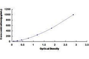 ELISA image for CD40 (CD40) ELISA Kit (ABIN432007)