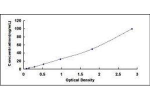 Glucosidase, Beta, Acid (GBA) ELISA Kit